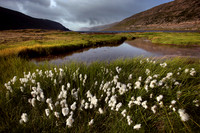 Westfjords, August 2014
