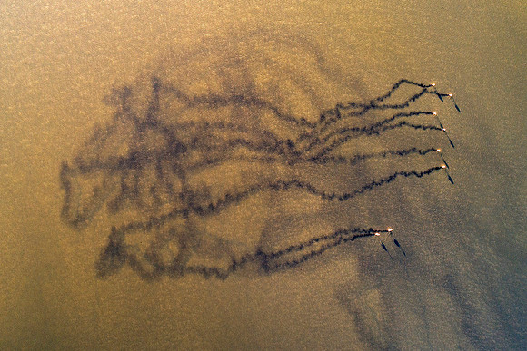DJI_0305-2 crop 1500