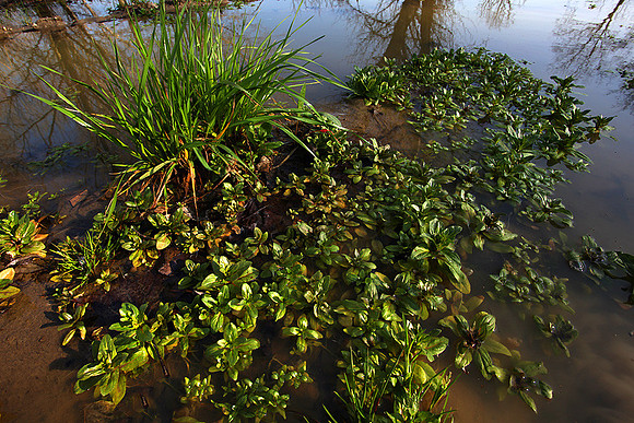 Percorso Torrente Tiepido