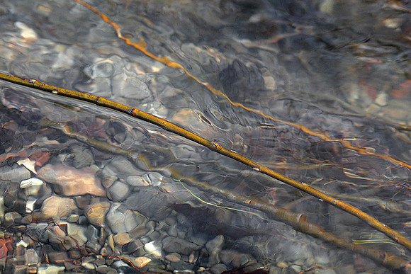 Percorso Torrente Tiepido