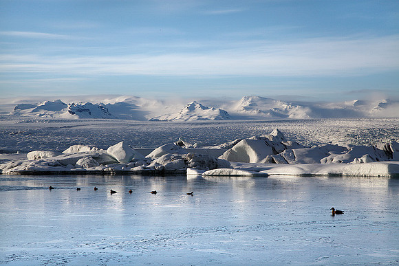 Jökulsárlón glacial lagoon