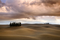 Cipressi, Tuscany, 2015