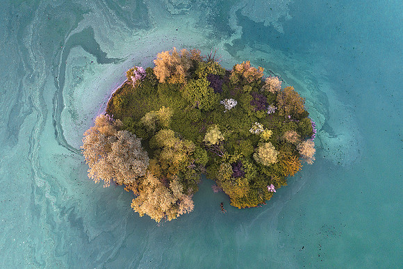 Laghetti di Sant'Anna, 2018