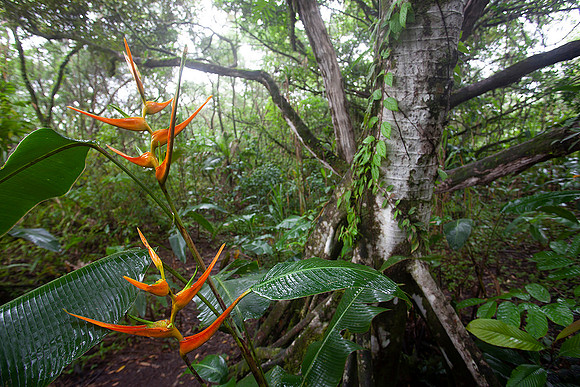 Costa Rica, 2016