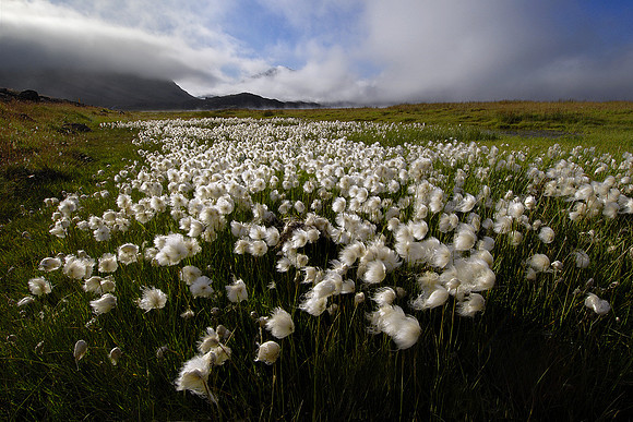 Eastern Iceland, 2007