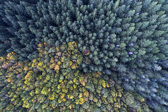 DJI_0170-1200
