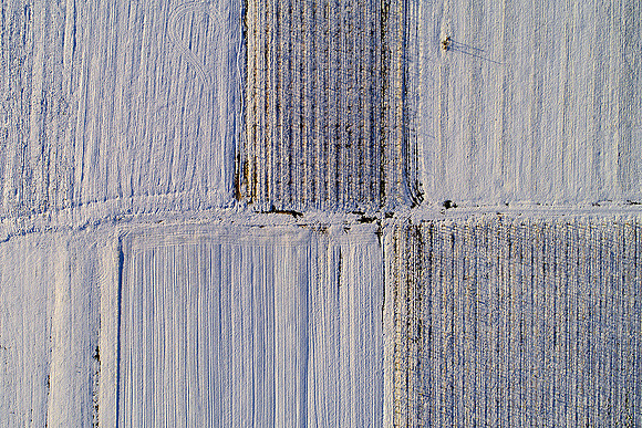 DJI_0096 crop 1200