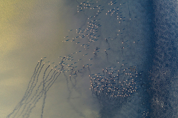 DJI_0333-1500