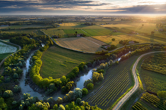 DJI_0020-2 crop 1500