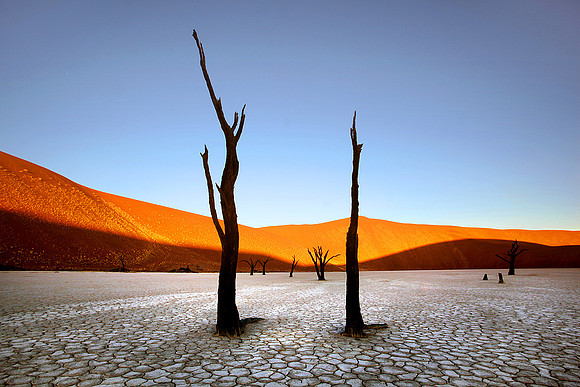 Sentinels