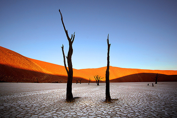 Sentinels