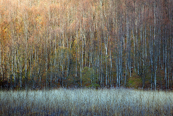 Lago Pratignano, 2015