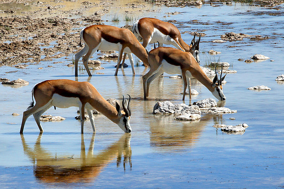 Namibia, 2009