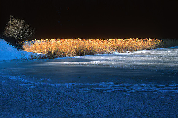 Lago Pratignano, 1996