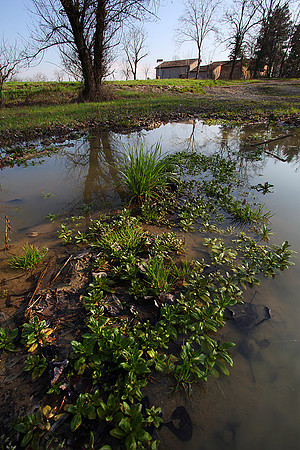 Percorso Torrente Tiepido