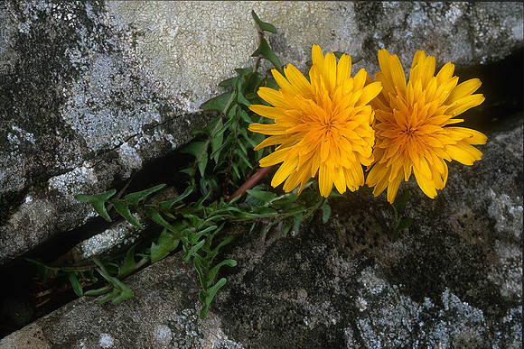 Appennino modenese, 1997