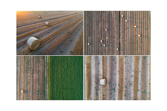 Bales