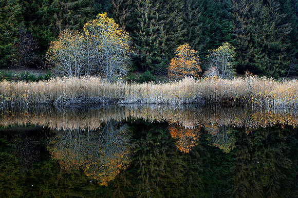 Lago Pratignano, 2015