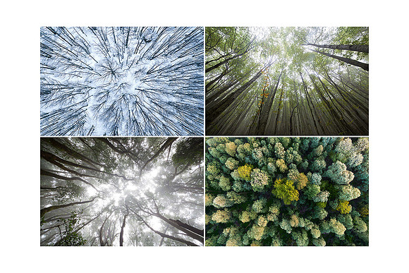 Above and below
