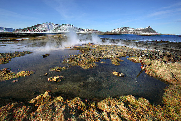 Thermal area, Snæfellsnes peninsula
