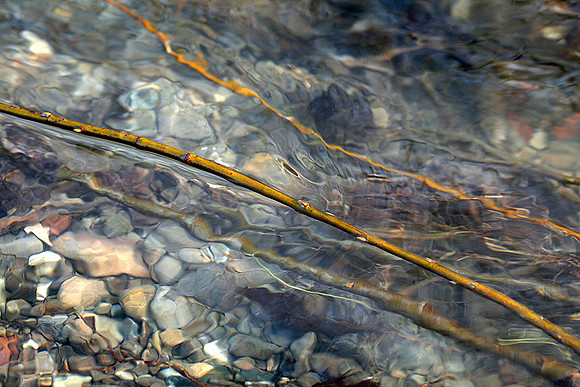 Percorso Torrente Tiepido