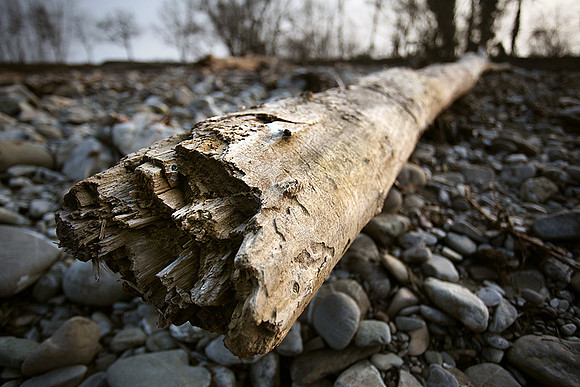 Percorso Torrente Tiepido